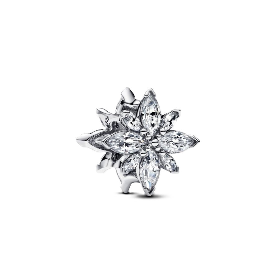 PANDORA Mod. 793591C01-0