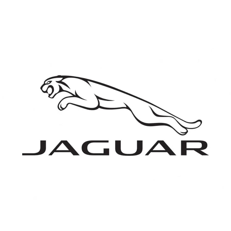 Jaguar Blackhillson