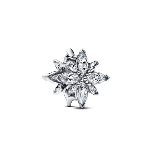 PANDORA Mod. 793591C01-0