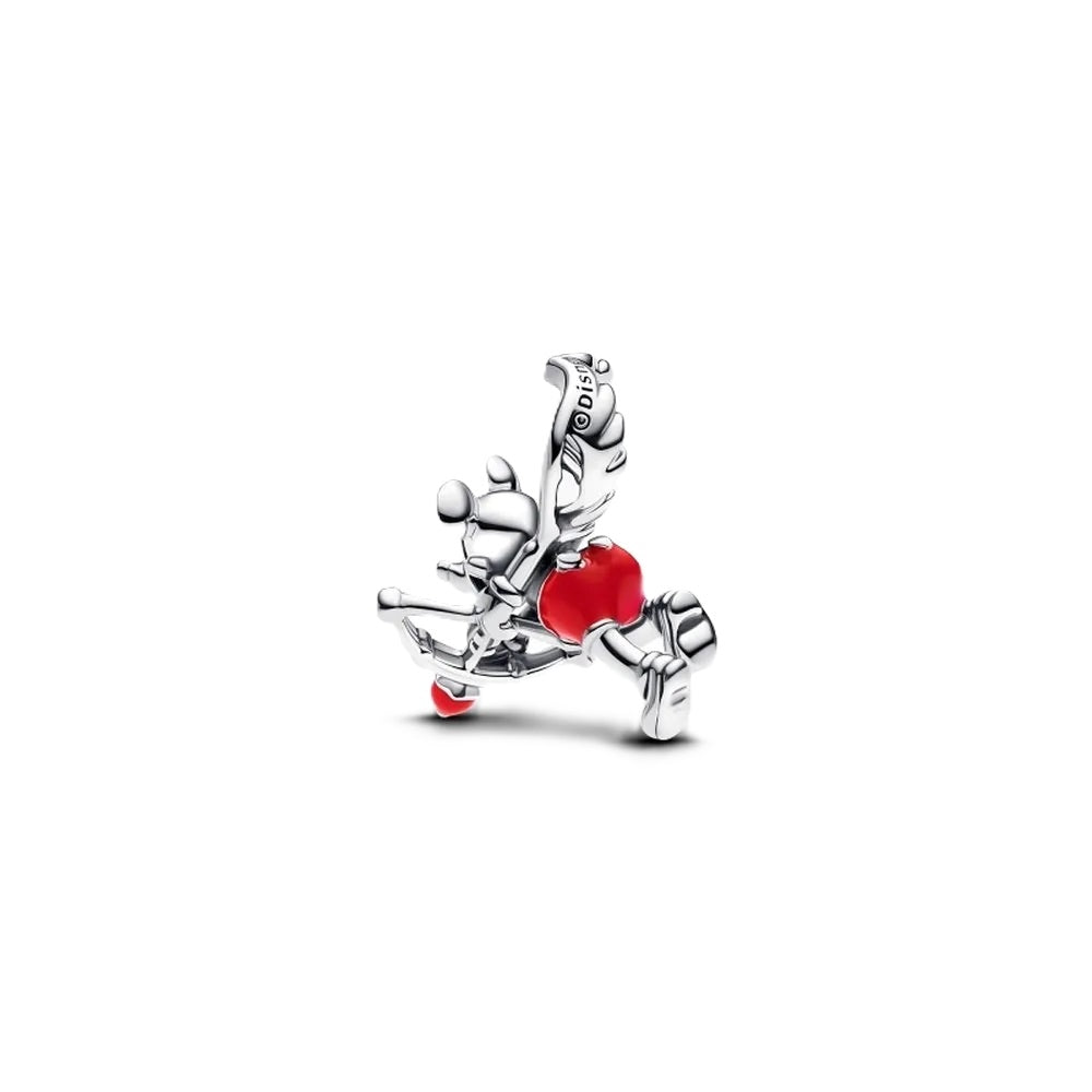 PANDORA JEWELRY Mod. 793616C01-0
