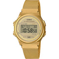CASIO VINTAGE Mod. ROUND - GOLD MESH-0