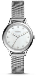FOSSIL white