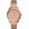 FOSSIL Mod. DAYLE-0