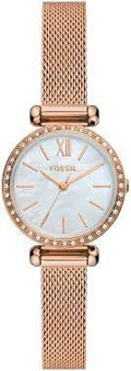 FOSSIL copper