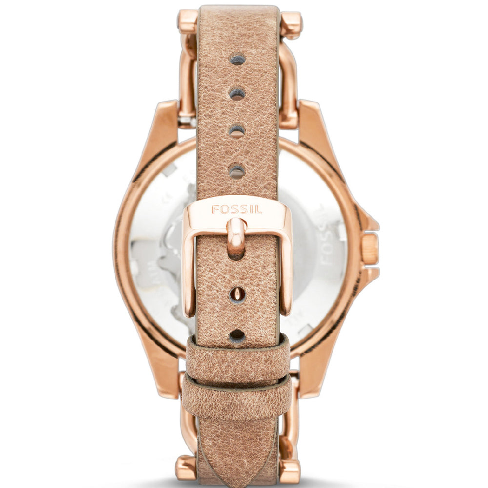 FOSSIL Default 2