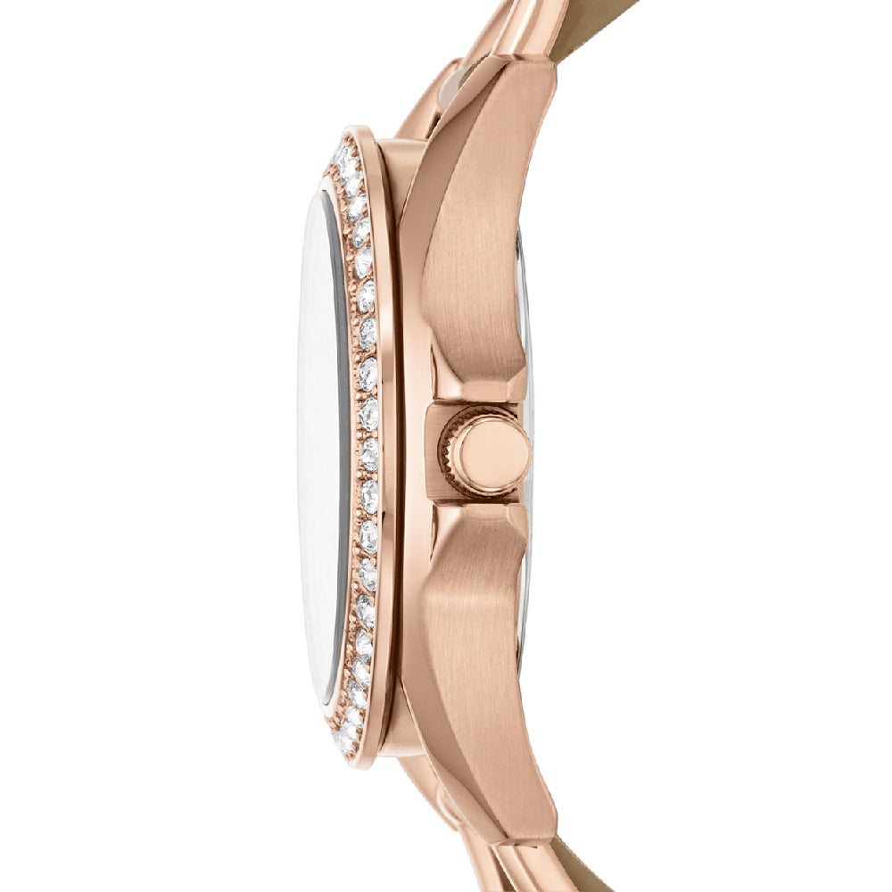 FOSSIL Default 3