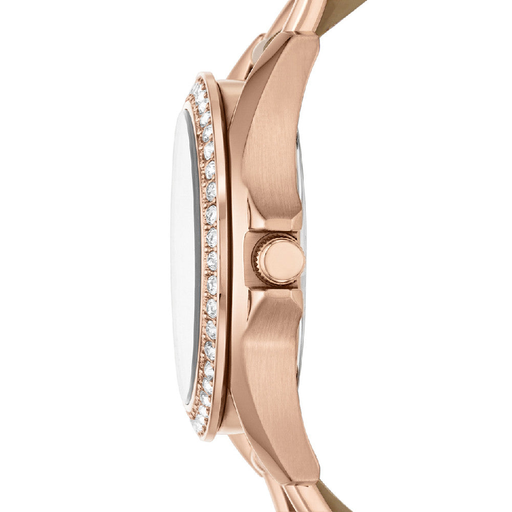 FOSSIL Default 5