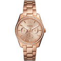 FOSSIL Default