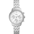FOSSIL white