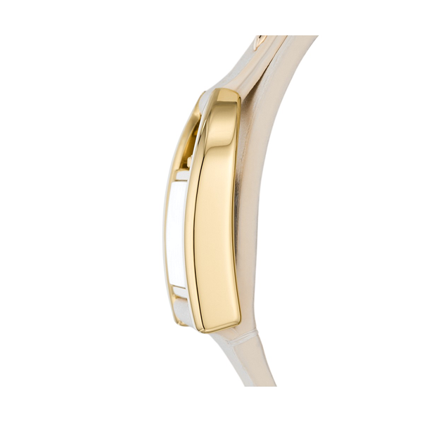 FOSSIL Default 2