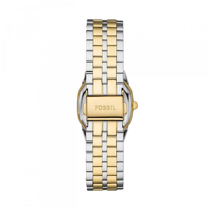 FOSSIL Mod. HARLOW-5