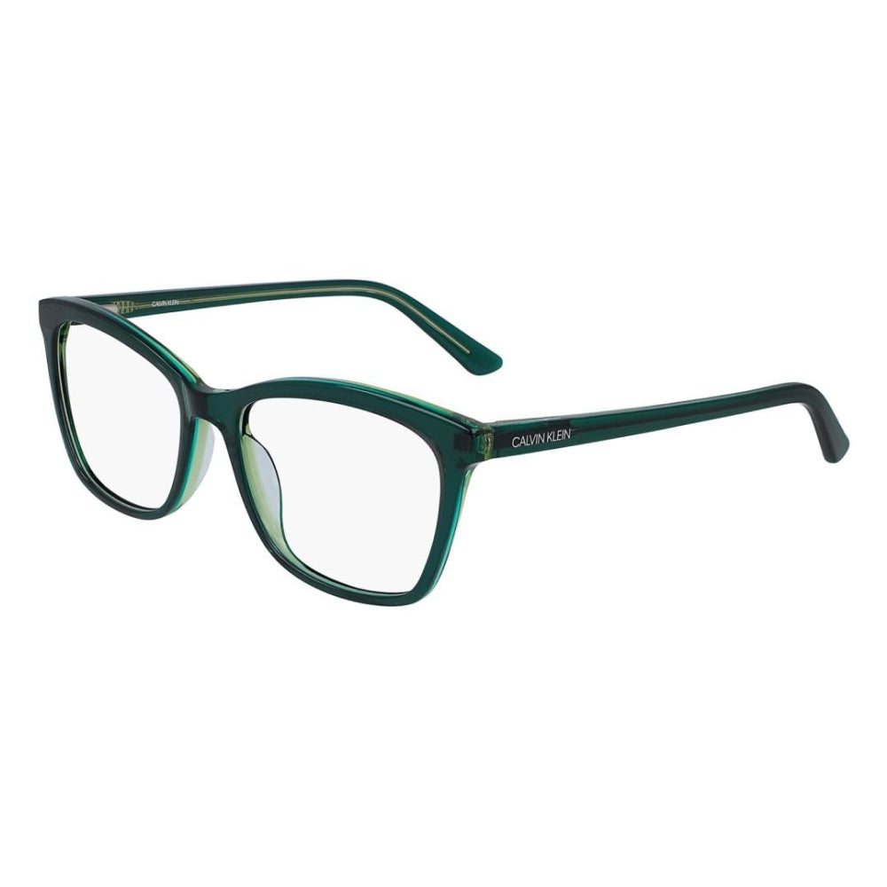 CALVIN KLEIN MOD. CK19529 - Blackhillson
