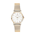 GANT gold