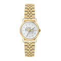 TRUSSARDI gold