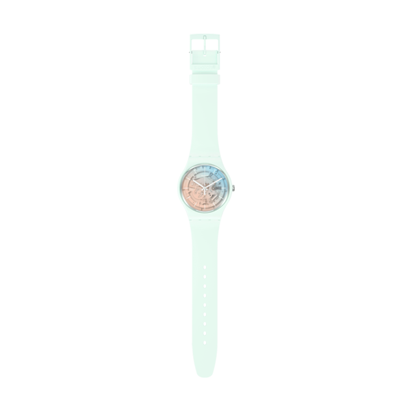SWATCH Default 2