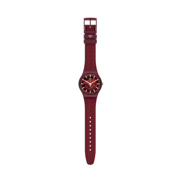 SWATCH Default 2