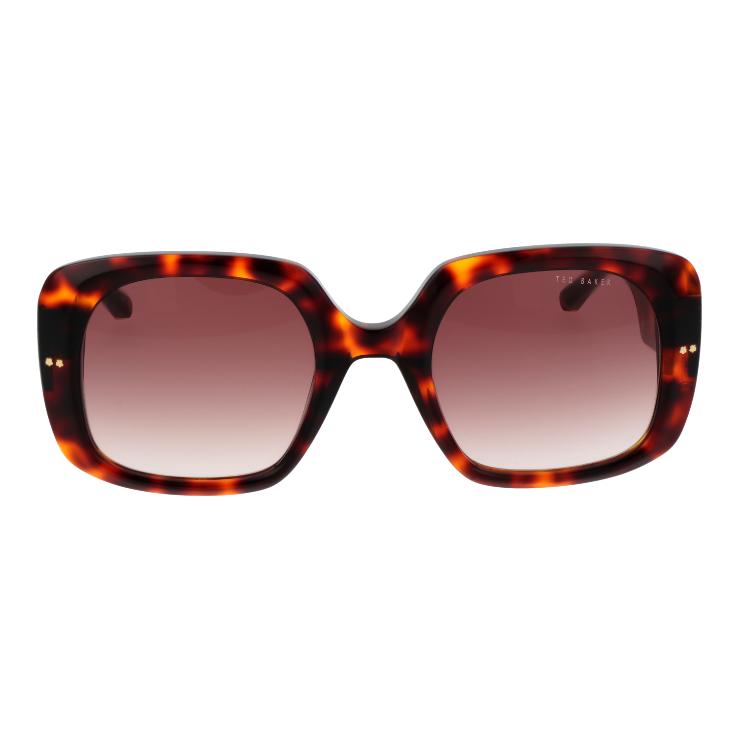TED BAKER MOD. TB1730 53100-1